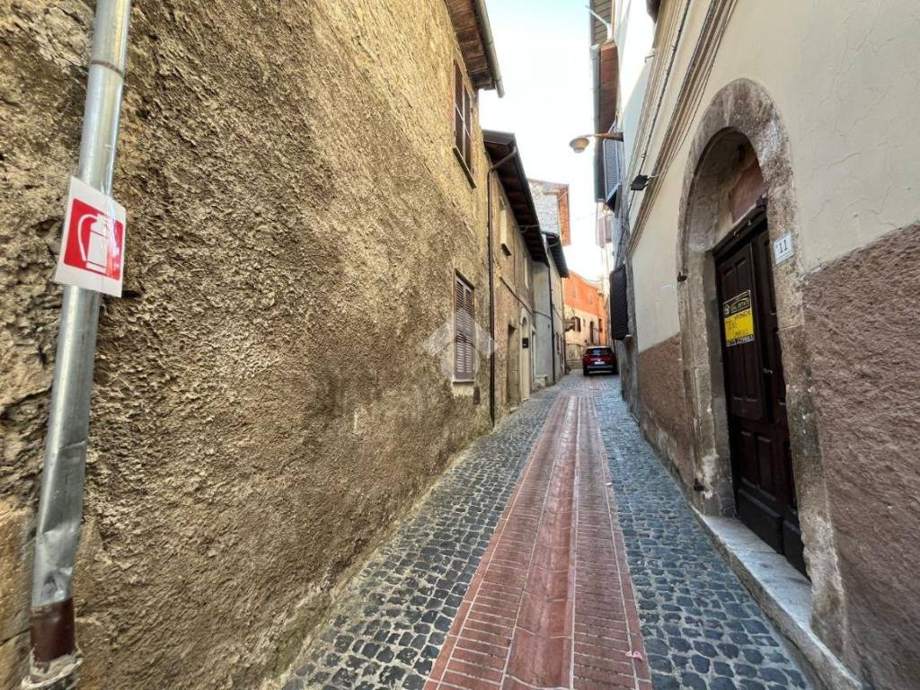Zona