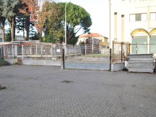 Zona
