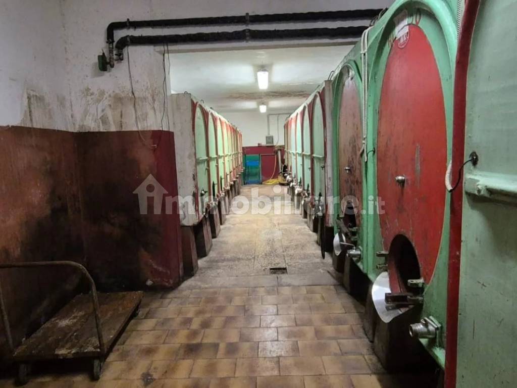 Magazzino
