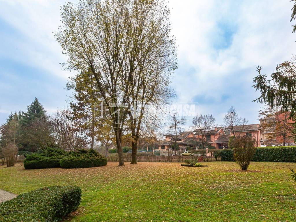 Giardino