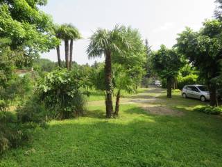 Zona