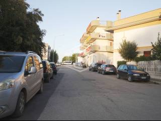 Zona