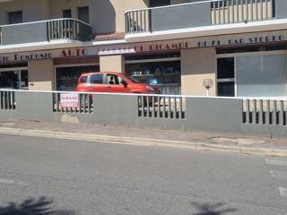 Zona