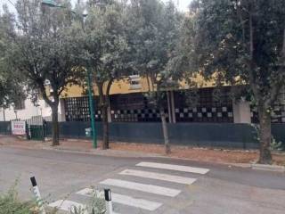 Zona