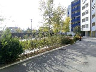 Zona