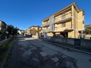 Zona
