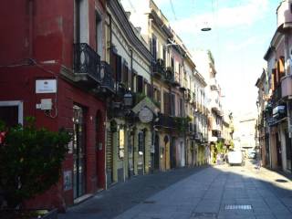 Zona