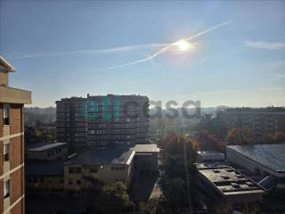 Vista