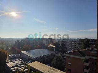 Vista