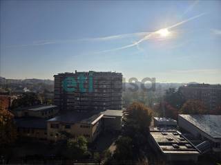 Vista