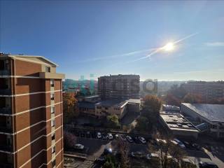 Vista