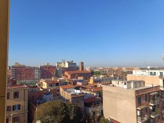 Vista