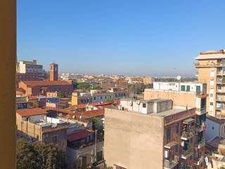 Vista