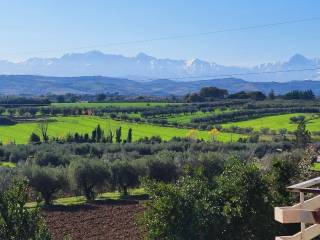Vista