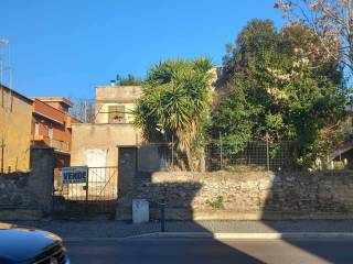 Zona