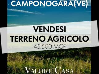 Altro