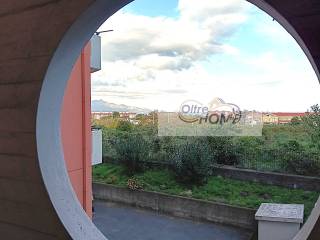 Vista