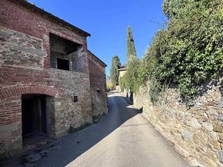 Zona
