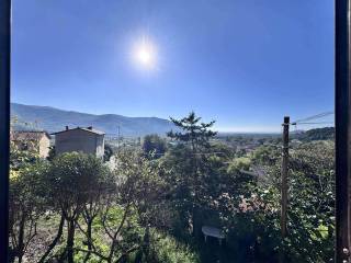 Vista