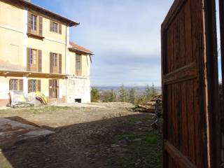 Zona