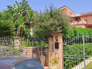 Zona