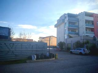 Zona