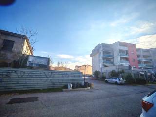 Zona