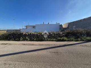 Zona