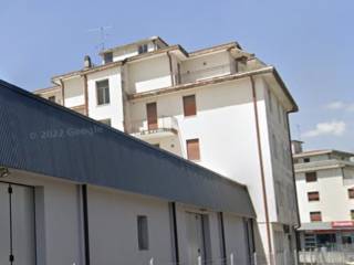 Zona