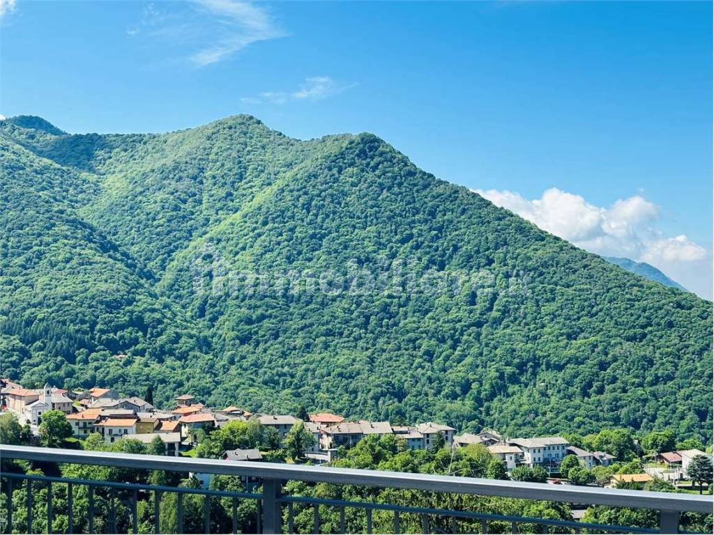 Vista
