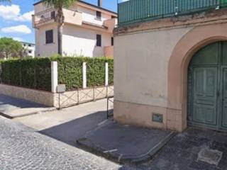 Zona