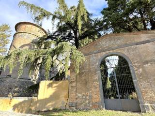 Ingresso