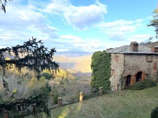Vista