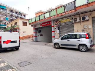 Zona