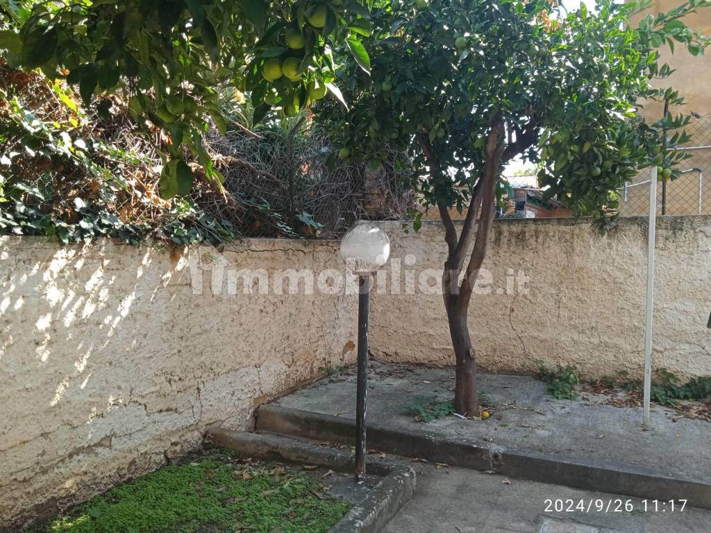 Giardino