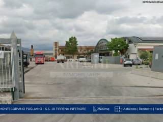 Zona