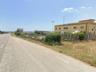Zona