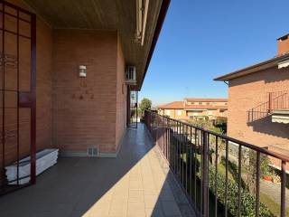 Terrazzo