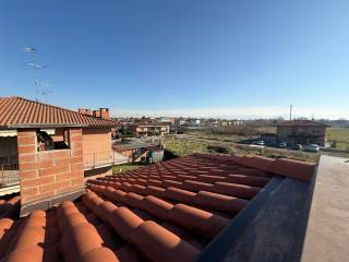 Vista