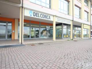 Zona