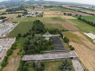 Vista