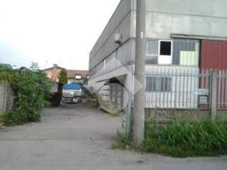 Zona