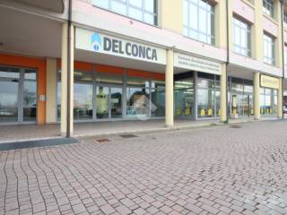 Zona
