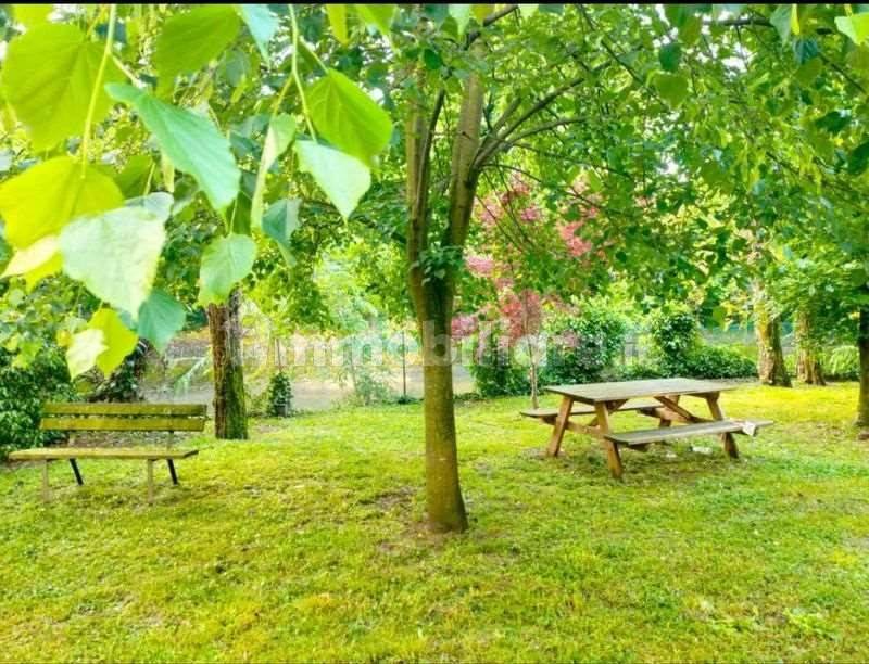 Giardino