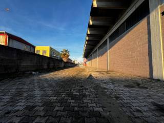Zona