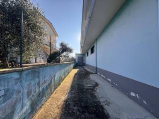 Zona