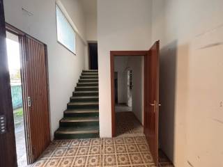 Ingresso