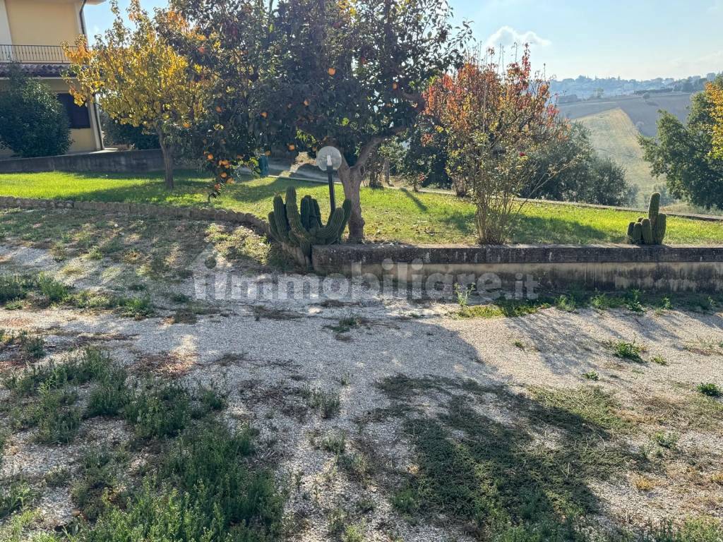Terreno