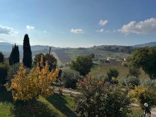 Vista
