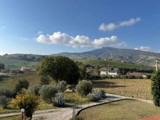 Vista